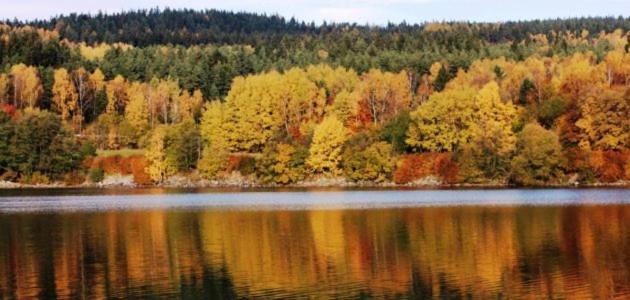 Hotel Racek Cerna v Posumavi Bagian luar foto